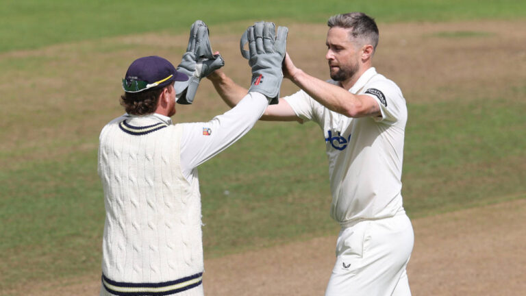 Haines, Booth share honours with Edgbaston wildlife on truncated day